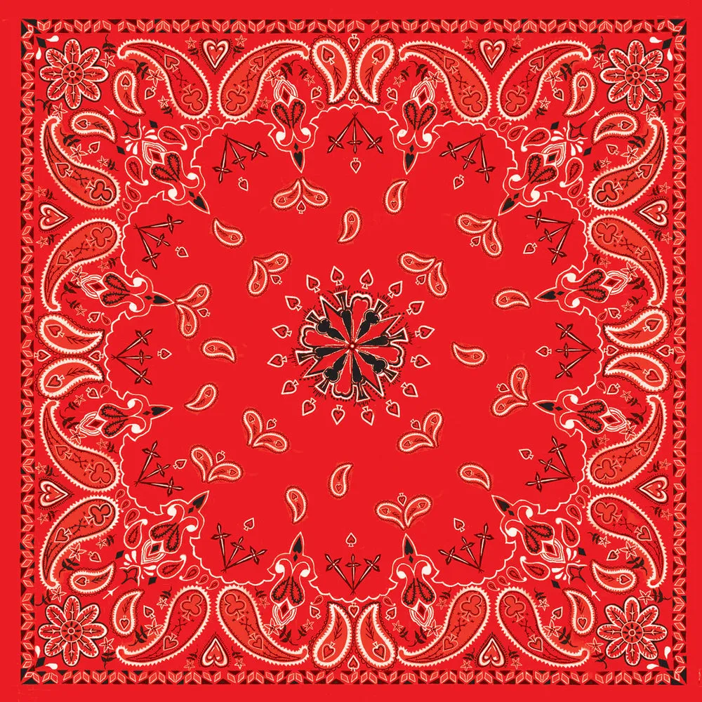 B003- Bandanna Red Paisley