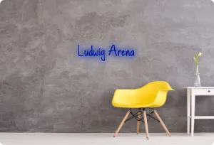 Custom order: Ludwig Arena