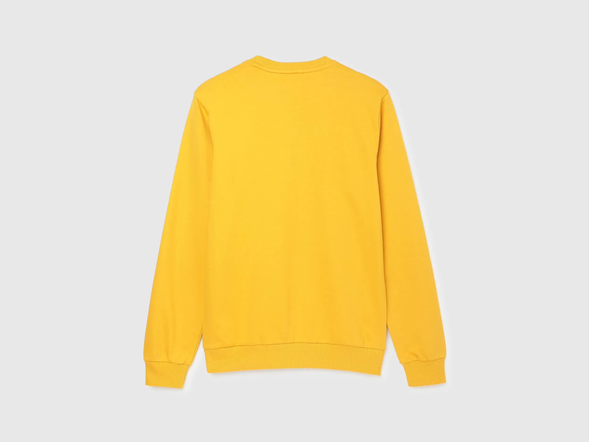 Regular Fit Round Neck Printed Sweatshirt