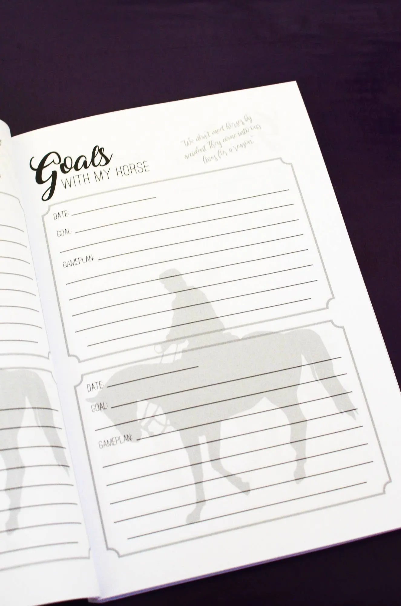 The Trail Rider's Journal